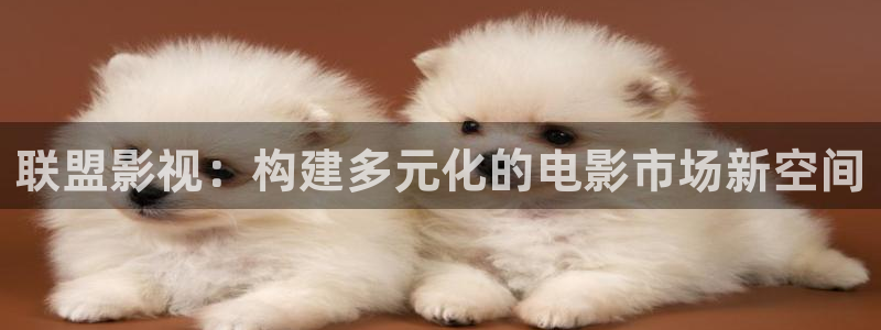 汤姆影视.
