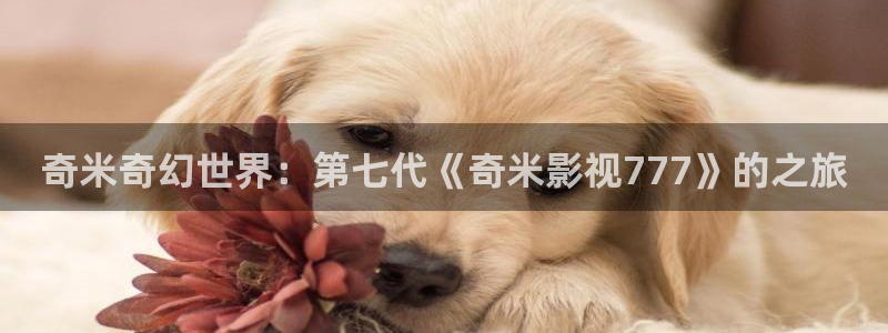 汤姆影院www