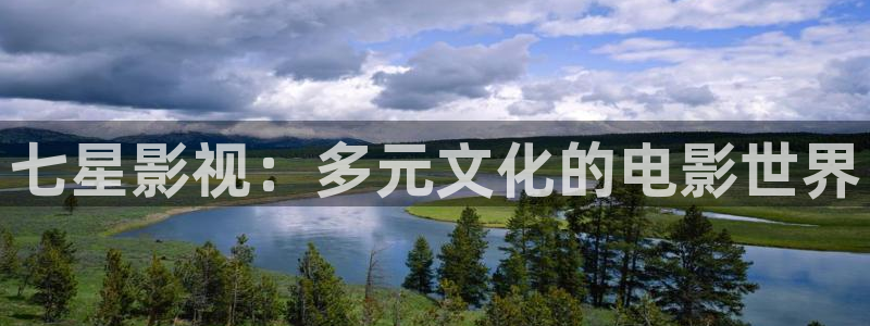 汤姆斯私人影院：七星影视：多元文化的电影世界