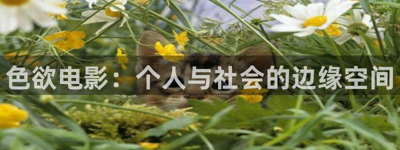 汤姆电影：色欲电影：个人与社会的边缘空间