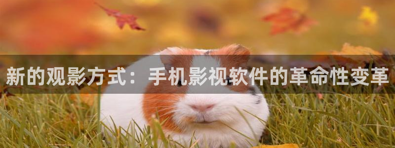 汤姆影院在线观看免费观看：新的观影方式：手机影视软件的革命性变革