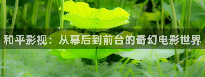 汤姆影院最新入口：和平影视：从幕后到前台的奇幻电影世界