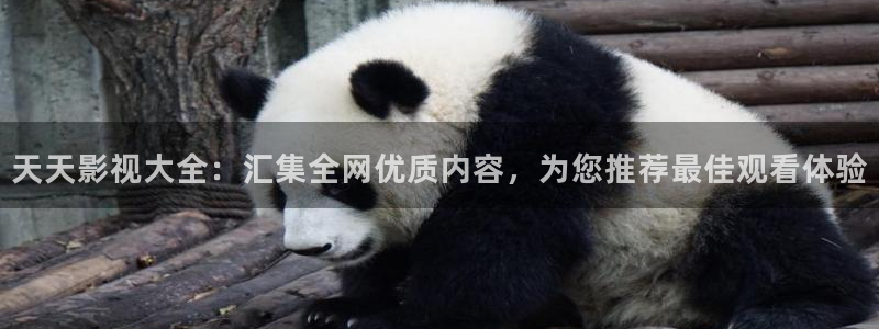 汤姆影院中转站点击